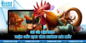 Đá Gà Cựa Dao - Trận Đấu Kịch Tính Không Rời Mắt