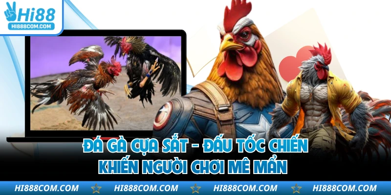 Đá Gà Cựa Sắt - Đấu Tốc Chiến Khiến Người Chơi Mê Mẩn