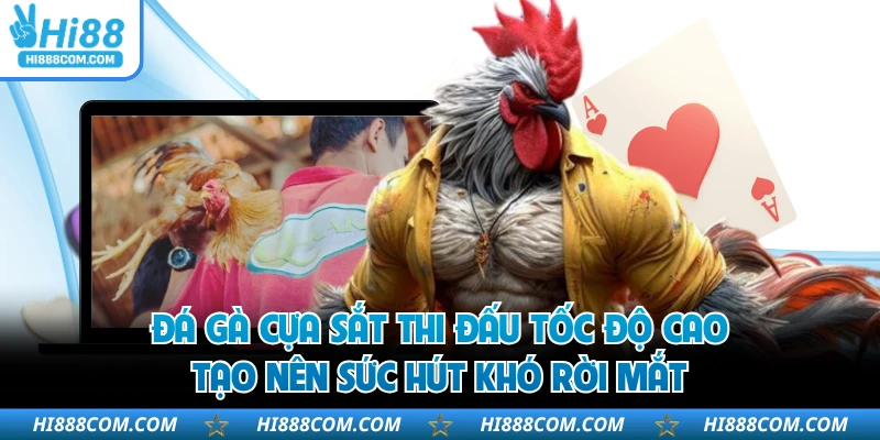 Đá gà cựa sắt thi đấu tốc độ cao tạo nên sức hút khó rời mắt