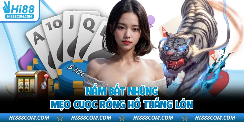 Nắm bắt những mẹo cược Rồng Hổ thắng lớn