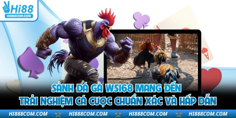 Sảnh đá gà WS168 mang đến trải nghiệm cá cược chuẩn xác và hấp dẫn