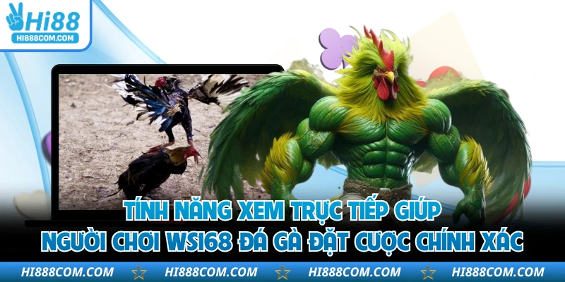 Tính năng xem trực tiếp giúp người chơi WS168 đá gà đặt cược chính xác 